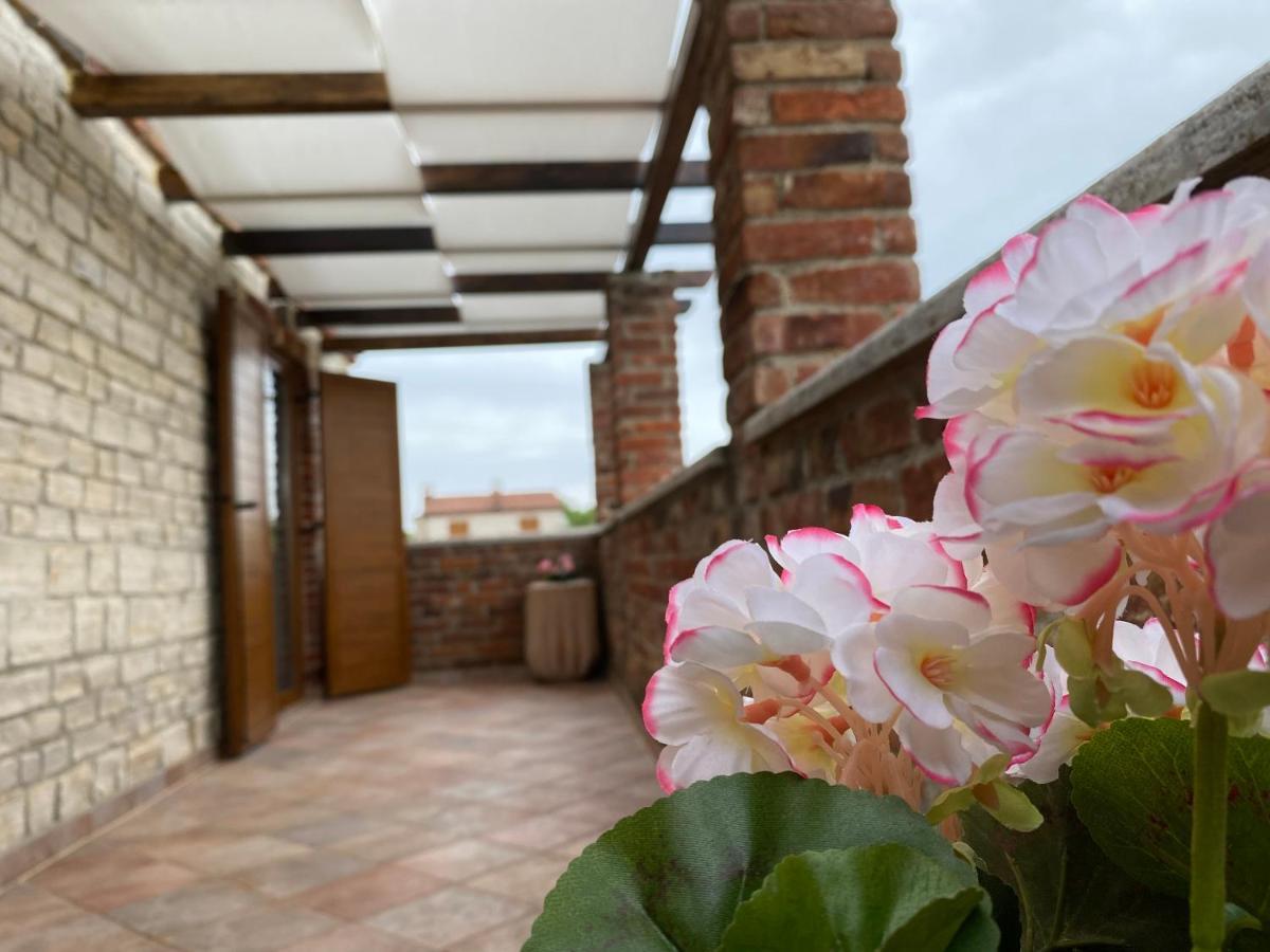 Paradise Villa Cassonni Istria 4 Stars Butkovići Exteriör bild